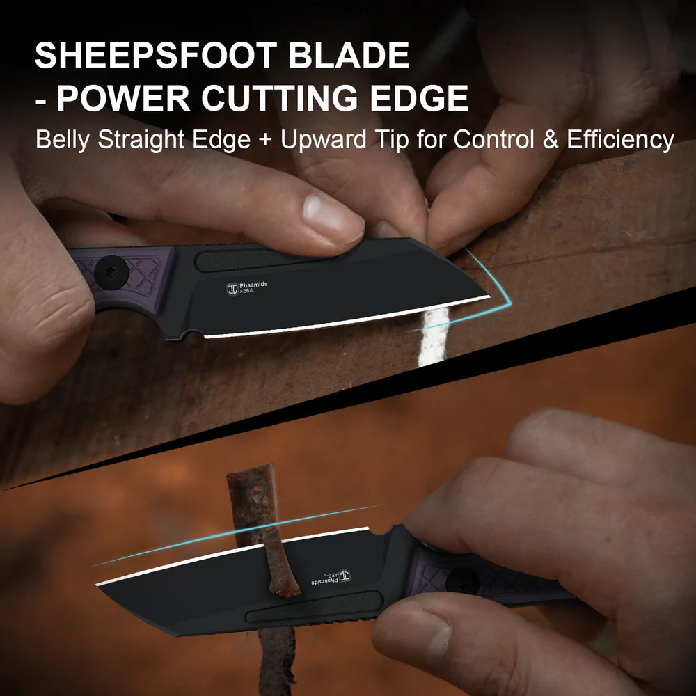 KIZER Phasmids AEB Blade Black Coating G10 Handle 2.79"