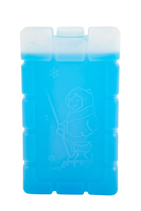 Esky Ice Brick