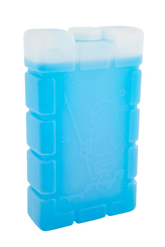 Esky Ice Brick