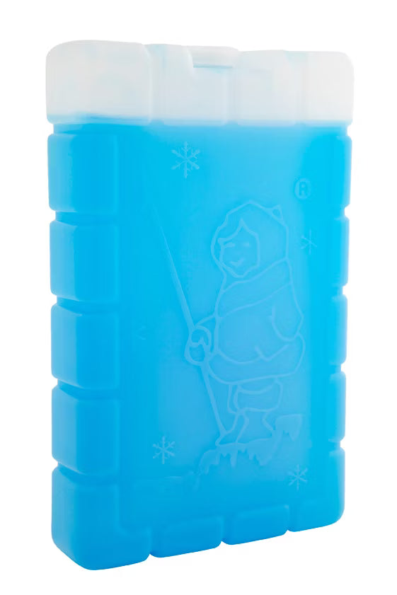 Esky Ice Brick