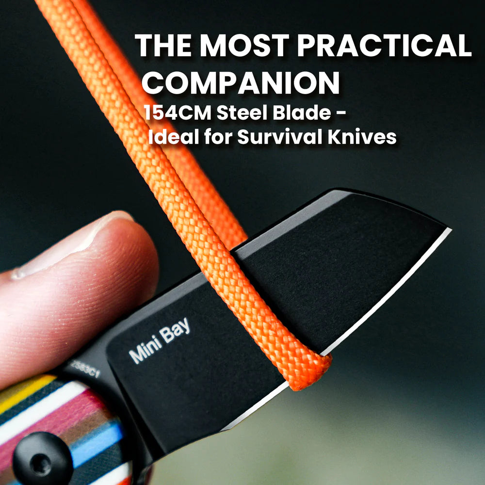 KIZER Mini Bay Black Blade Serape G10 & Steel Liner 1.9"