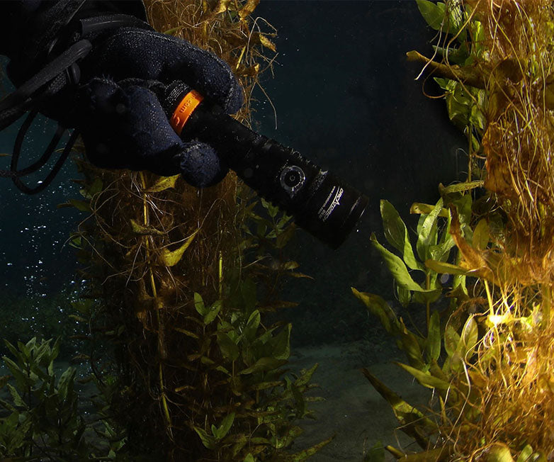 OrcaTorch D530 Dive Light with SOS Cold White 1500L