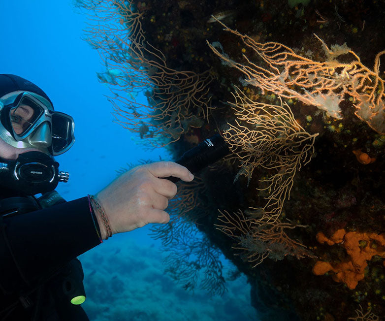 OrcaTorch D580 Dive Light Black 530L