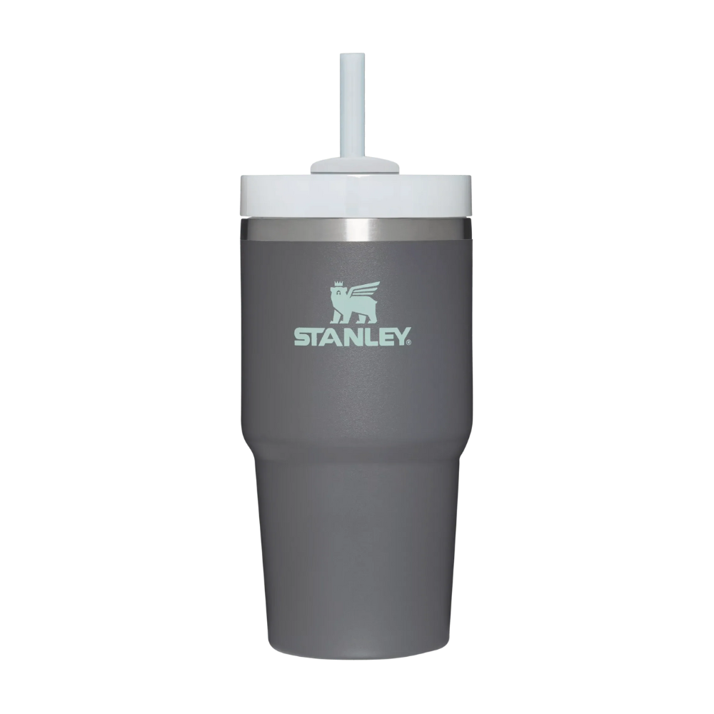 Stanley Adventure Quencher 2.0 Tumbler 20oz/0.59L