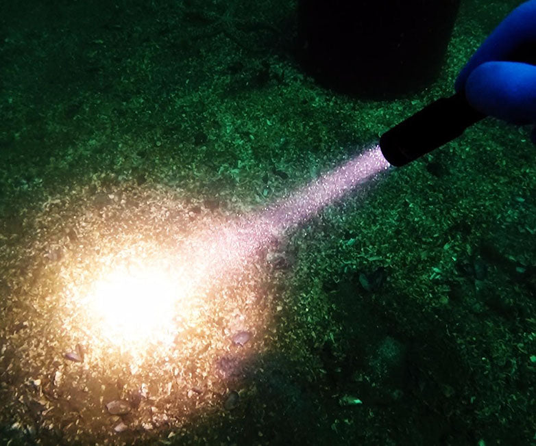 OrcaTorch D520 Dive light USB-C Battery Black 1000L