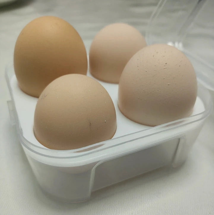 GL Extra Outdoor Egg Transparent Storage Box