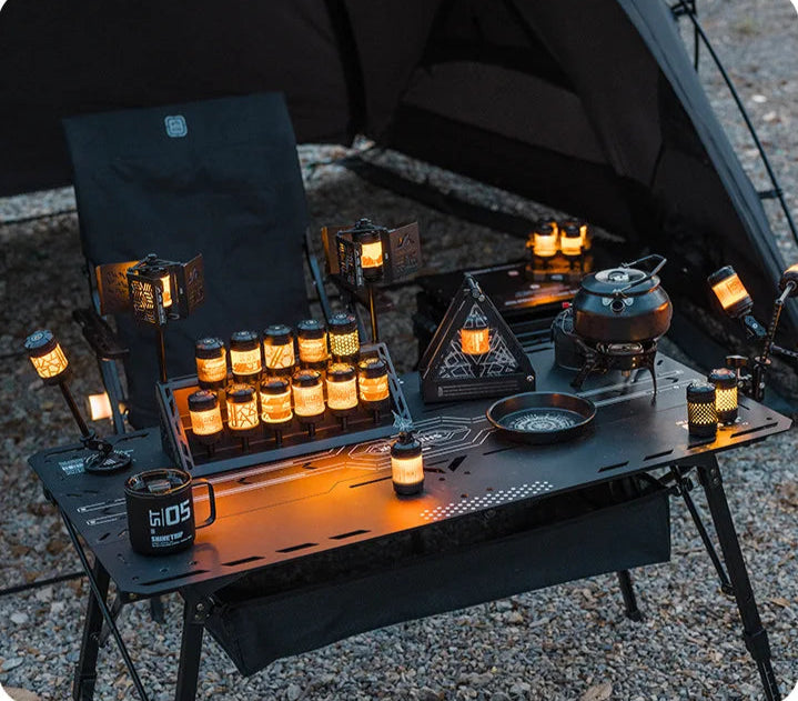 ShineTrip Light Array Display Box