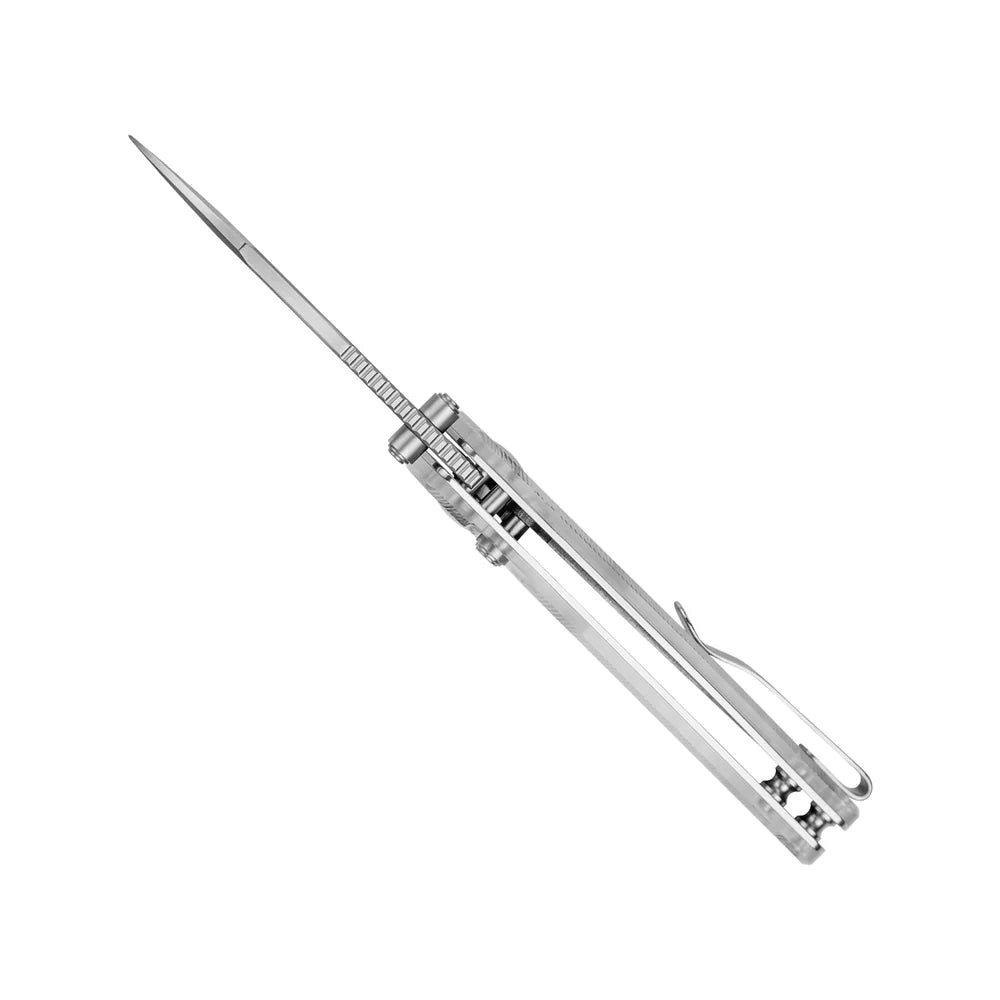 KIZER Parakeet Nitro-V Blade Acrylic Handle Button Liner Lock 2.46"