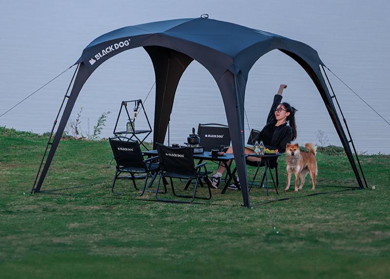 Blackdog Quick-Opening Canopy