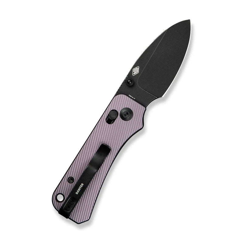 CIVIVI Baby Banter 2 Purple Handle Nitro-V Blade