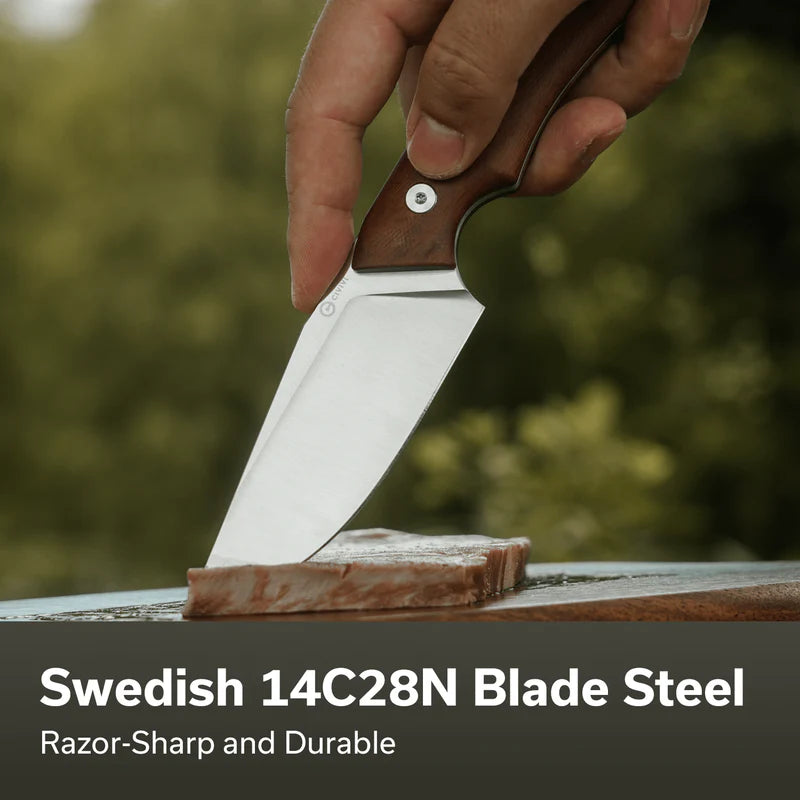 CIVIVI Gander Guibourtia Wood Handle Satin Finished 14C28N 3.63"