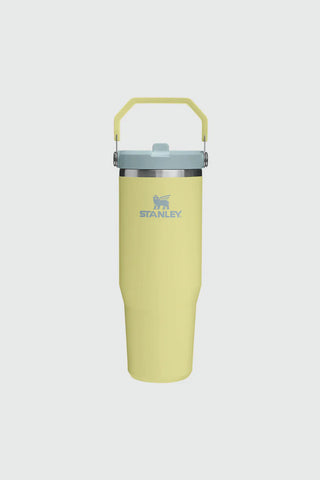 Stanley Adventure Classics Flip Straw Tumbler 2.0 30oz/0.89L