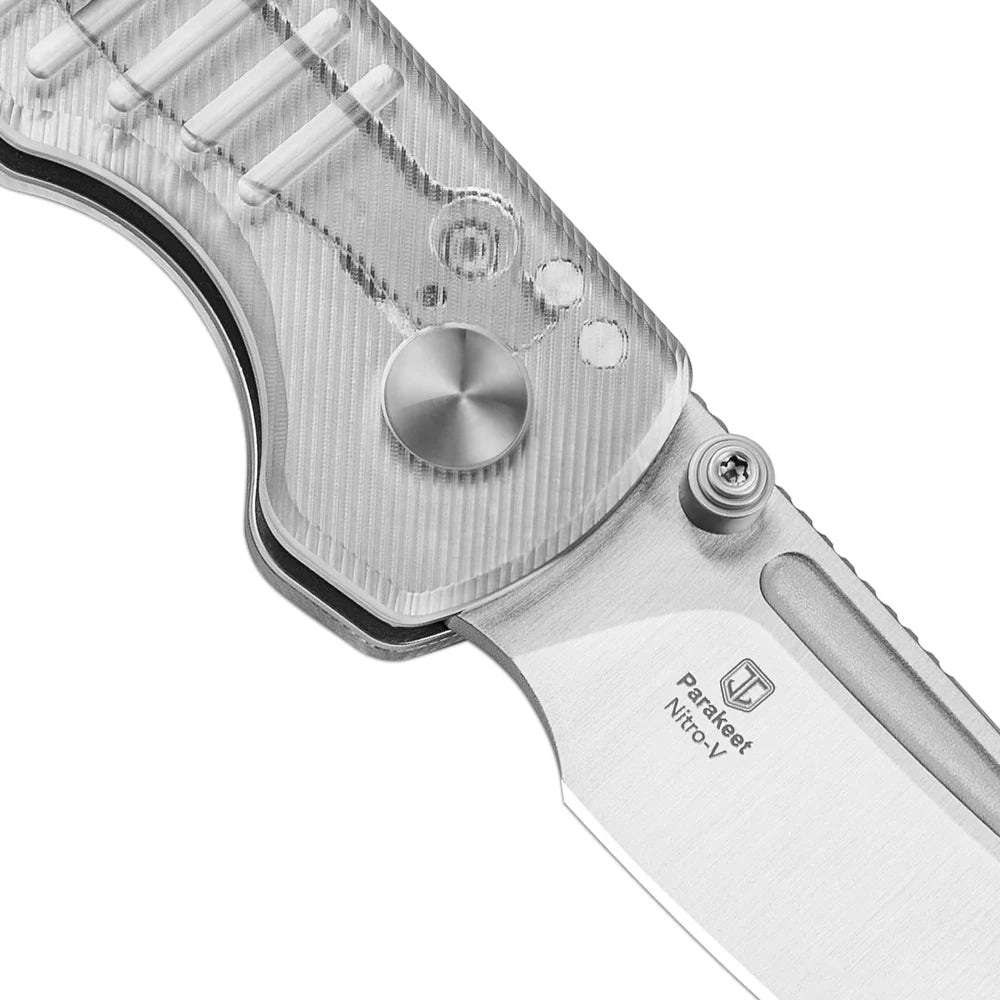 KIZER Parakeet Nitro-V Blade Acrylic Handle Button Liner Lock 2.46"