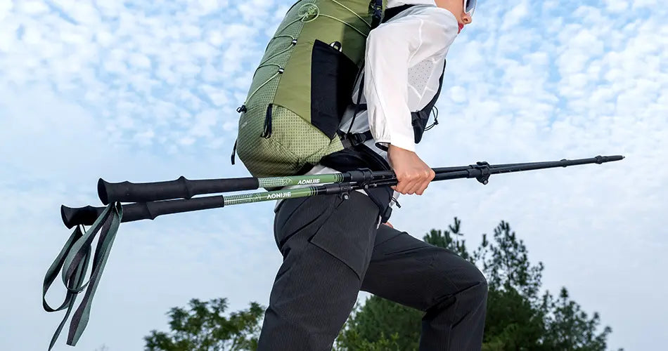 AONIJIE Aluminum Trekking Pole Black-E4215