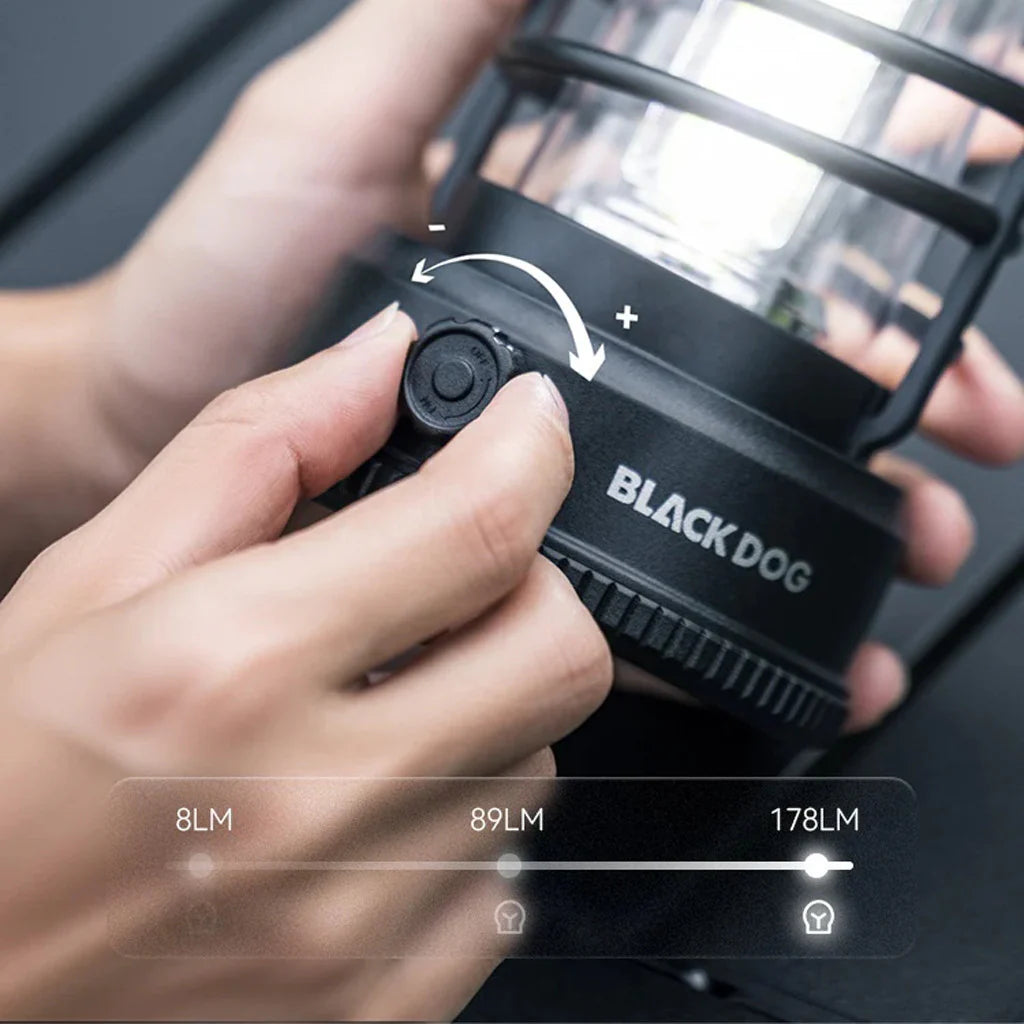 Blackdog Wind Guide Outdoor Fan Lamp