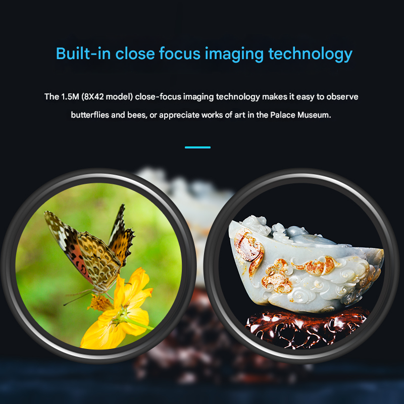 BOSMA Optimistic II 10X42 Binoculars