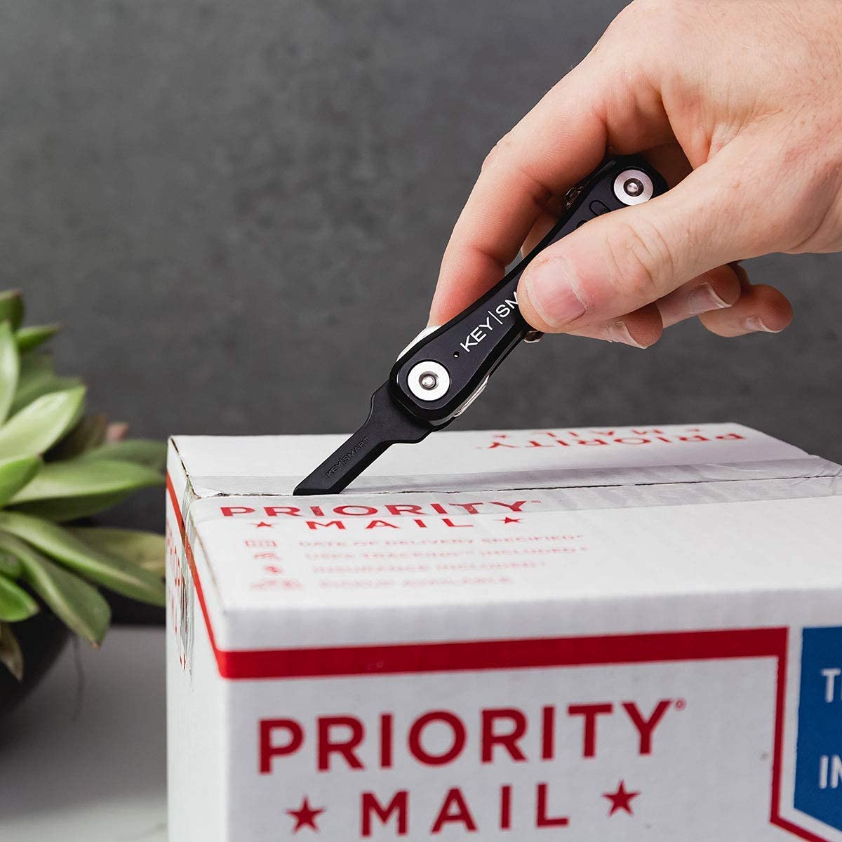 Key Smart Box Cutter KeySmart Safeblade Finger-Friendly Keychain Box Cutter (Black) – GL ...