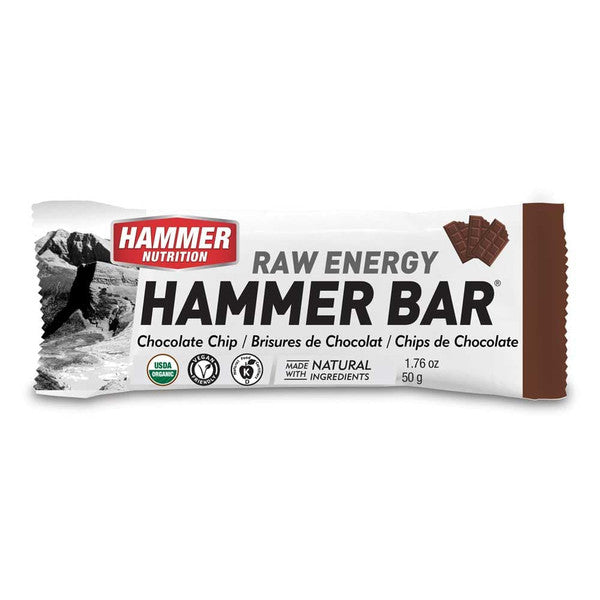 Hammer Nutrition Bar Chocolate Chip